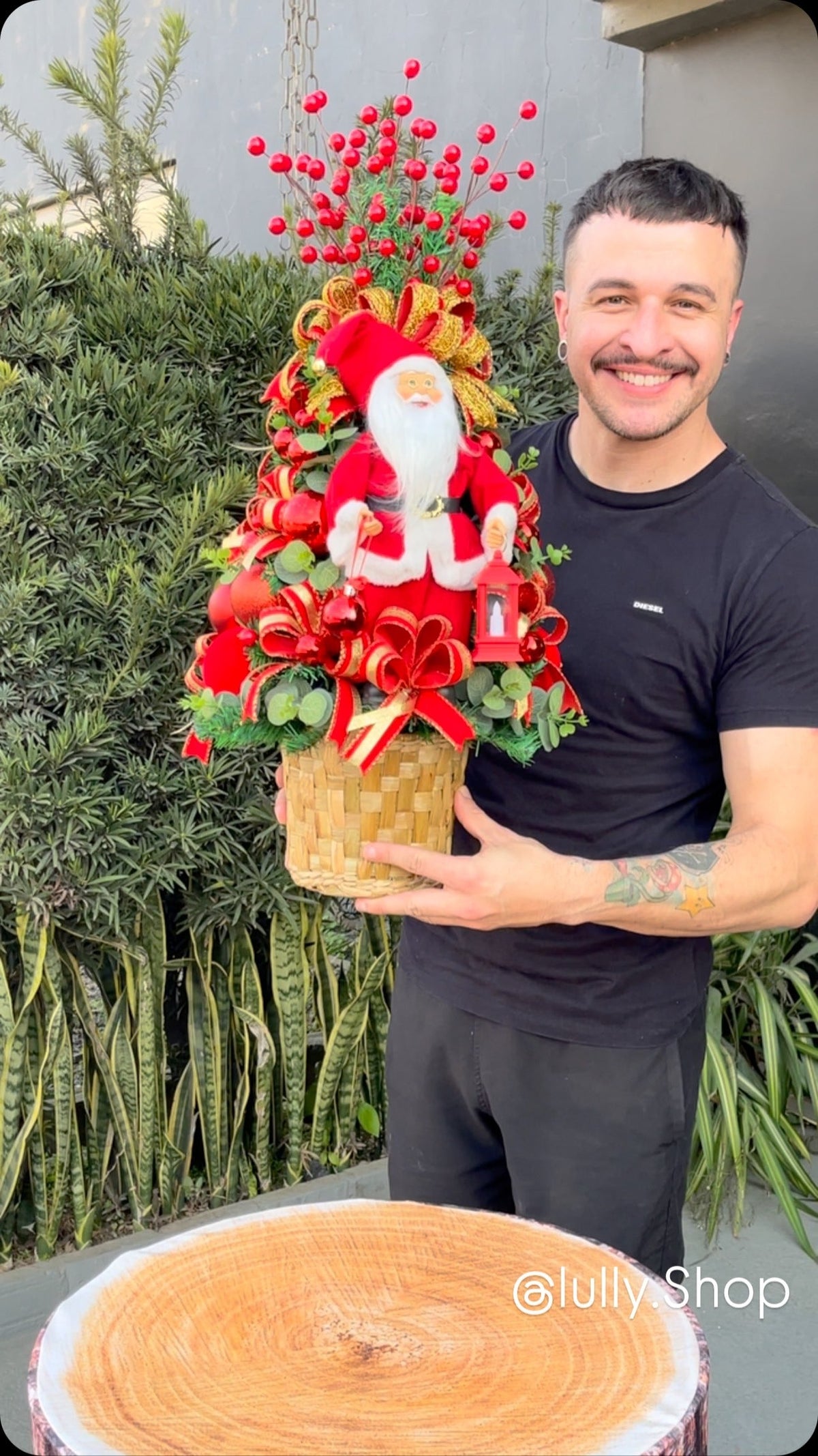Arranjo Natalino Noel Iluminado
