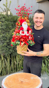 Arranjo Natalino Noel Iluminado